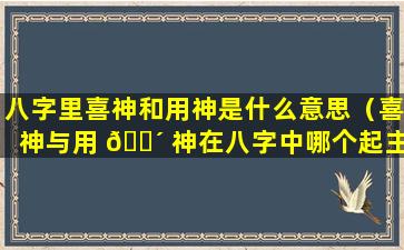 八字里喜神和用神是什么意思（喜神与用 🌴 神在八字中哪个起主导作用）